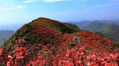 丽水旅游学校怎么样、好不好