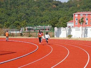 大理州财贸学校2020招生录取分数线