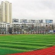 四川兴文中学2020年排名