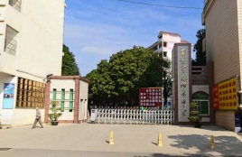 百色学院附属中学校园